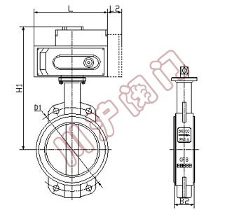 電動調節(jié)蝶閥結構圖