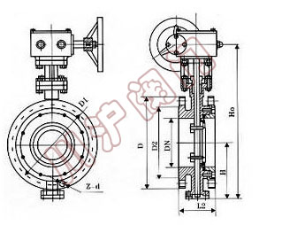 三偏心法蘭蝶閥結(jié)構(gòu)圖